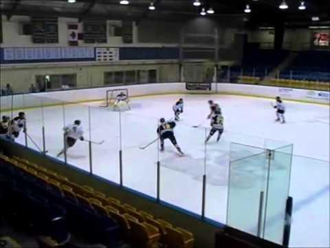 Video of Whitby Fury Junior A (OJHL) Rookie year 