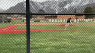 Video of Hitting Highlights, 2023 Season