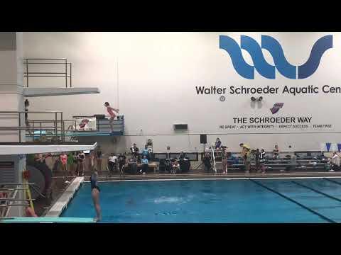 Video of 3 meter diving highlights 