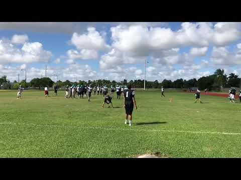 Video of Punting Practice
