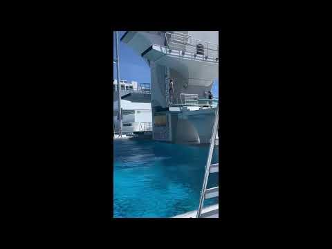 Video of Eva Shawver - 3 meter diving highlights