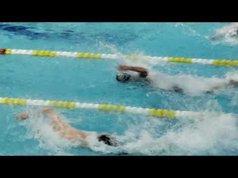 Video of Delaware State Swimming 2019 Salesianum 200 Free Relay finals