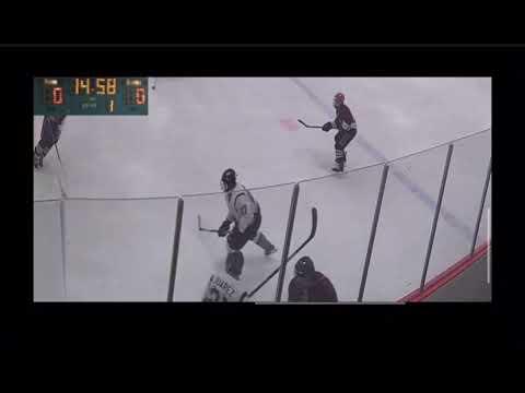 Video of Hockey Vids