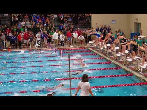 Video of 2017 Iowa Girls HS State:  200yd Medley Relay -lane 3-Berit swims fly leg