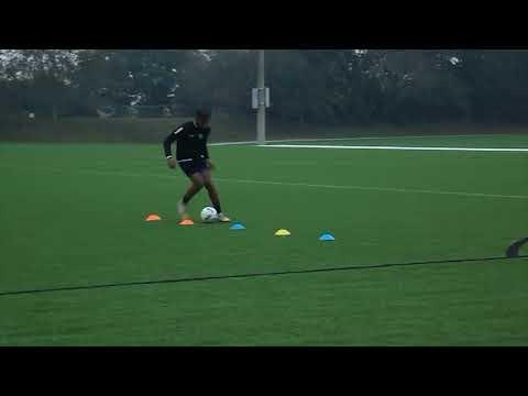 Video of Training