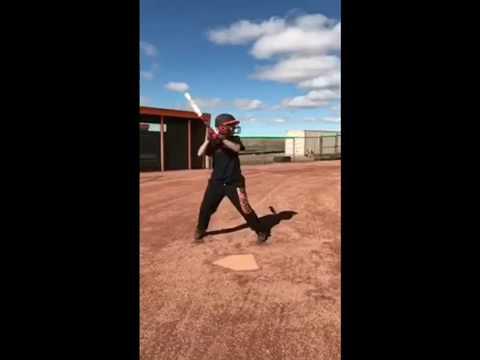 Video of Bunting 