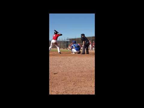 Video of Catching Fall 2019