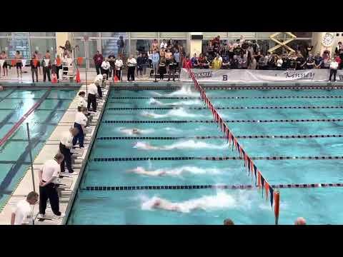 Video of Jonathan Chang - 100 Freestyle - 46.48 - Lane 6 - PIAA State Championships