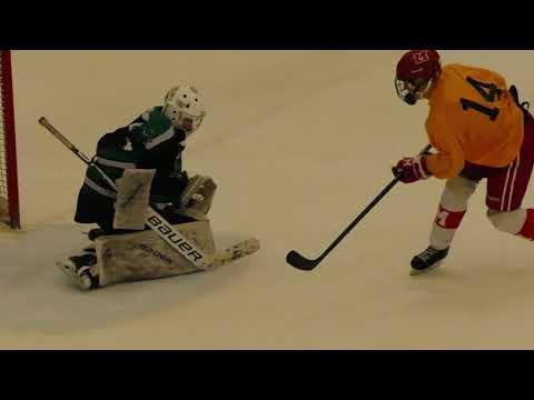 Video of #1 Chase Hennessy - 15yr - AAA Goalie - 16U NAHL Prospect Challenge - May 2021