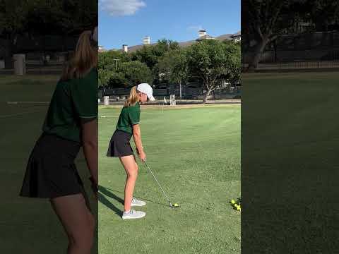 Video of Chipping
