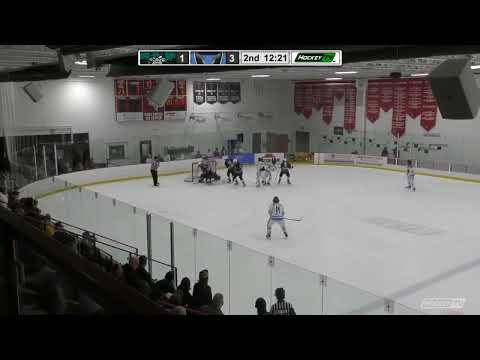 Video of feb 18 2023 46 save game highlights
