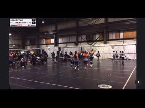 Video of Lily Breed 2025 Setter/DS #1