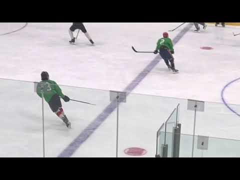 Video of College Hockey Camp