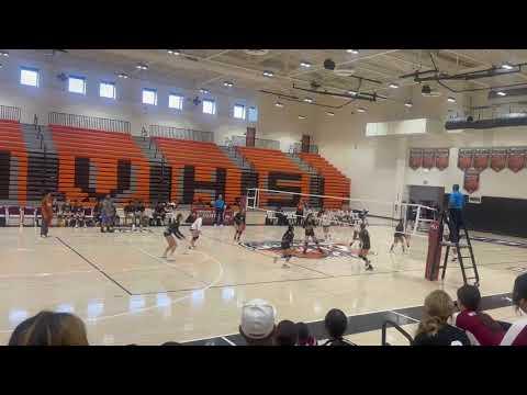 Video of Astrid #24 make a great block