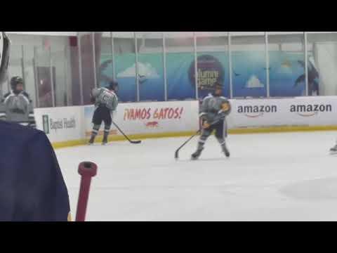 Video of Skating Goal