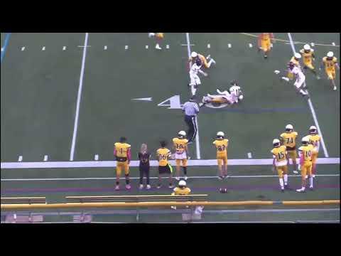 Video of Force Fumble 