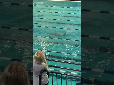 Video of Allison Naylor 1/2020 100 Backstroke