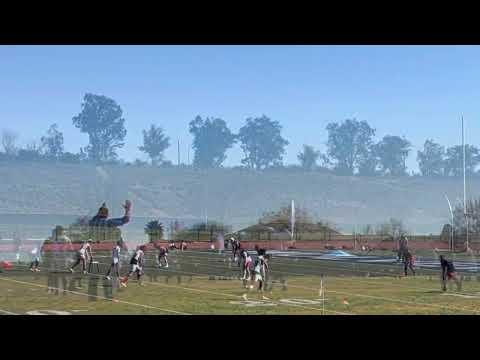 Video of DB Select 7’s