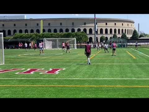 Video of Harvard ID Camp Highlights