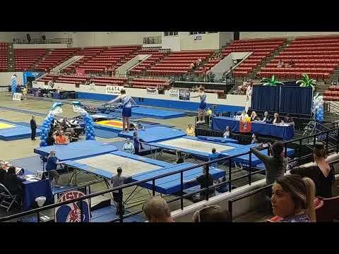 Video of Alex and Ethan Synchro Trampoline