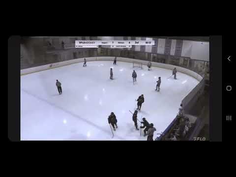 Video of Hat trick against New Jersey Hitmen
