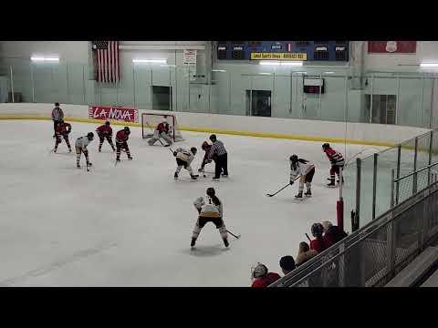 Video of 2023 NYSAHA State Tournament - Semifinal - Syracuse Valley Eagles 19U vs Troy Albany Icecats 19U