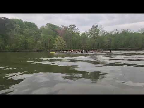 Video of Varsity 8+ (3 Seat) Grey Boat Race Piece