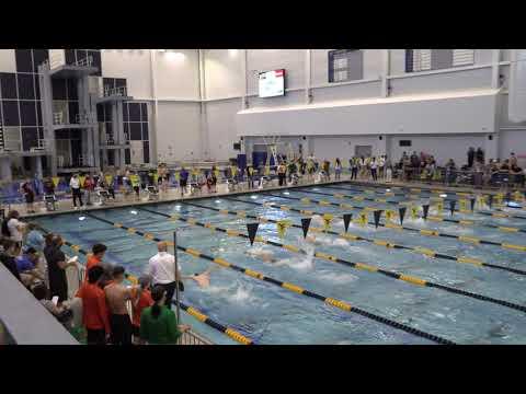 Video of 100 Butterfly State Championship