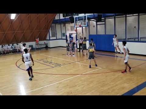 Video of Matthias Mittendorfer Junior Season Basketball Highlight Reel