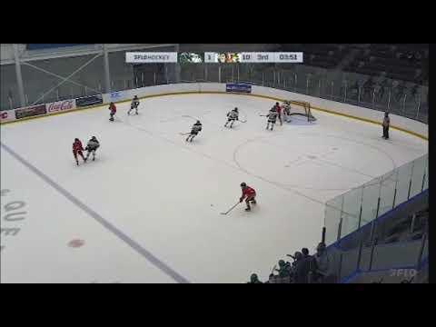 Video of Bree Prediger #2 almost scores on power play.