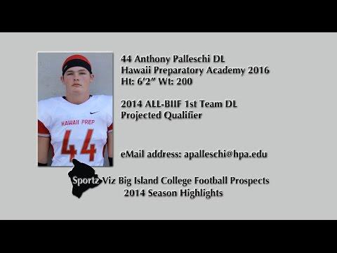 Video of 44 Anthony Palleschi DL/LB 2014 Season Highlights