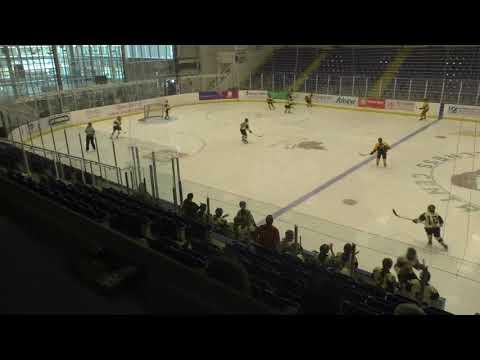 Video of NSFMHL - Panthers vs Fire Part 1