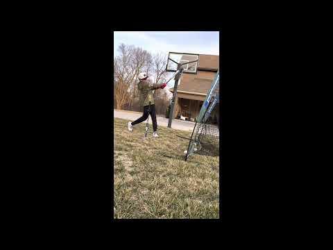Video of Winter Swings