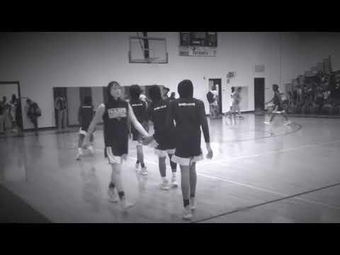 Video of David Elam SC /2023/ 8th grade highlights 