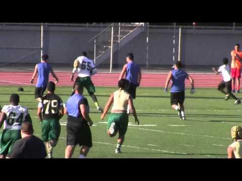 Video of Senior year passing leagues