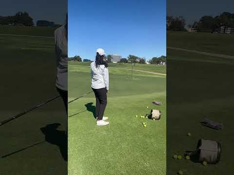 Video of Chipping