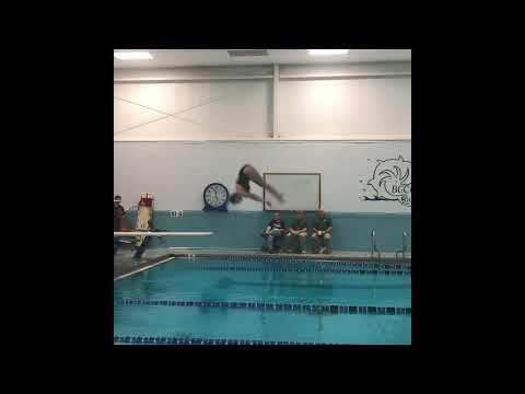 Video of Sophomore High School Dive Season Highlights