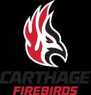 Carthage College