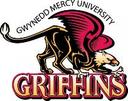 Gwynedd Mercy University