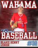 profile image for Blake Henry