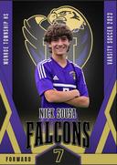 profile image for Nick Sousa