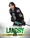 profile image for Theo Landry