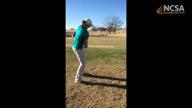 Video of December 2017