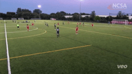 Video of 2021 IL State Cup