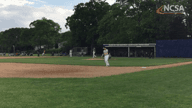 Video of 2019 Highlights