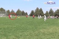 Video of 2013 Highlights 