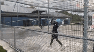 Video of August 2022