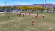 Video of 2024 Highlights
