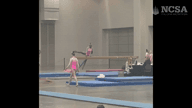 Video of 2024 Highlights 