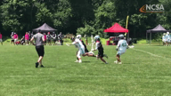 Video of 2019 Highlights #2